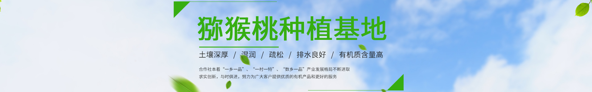 这里是您的网站名称
